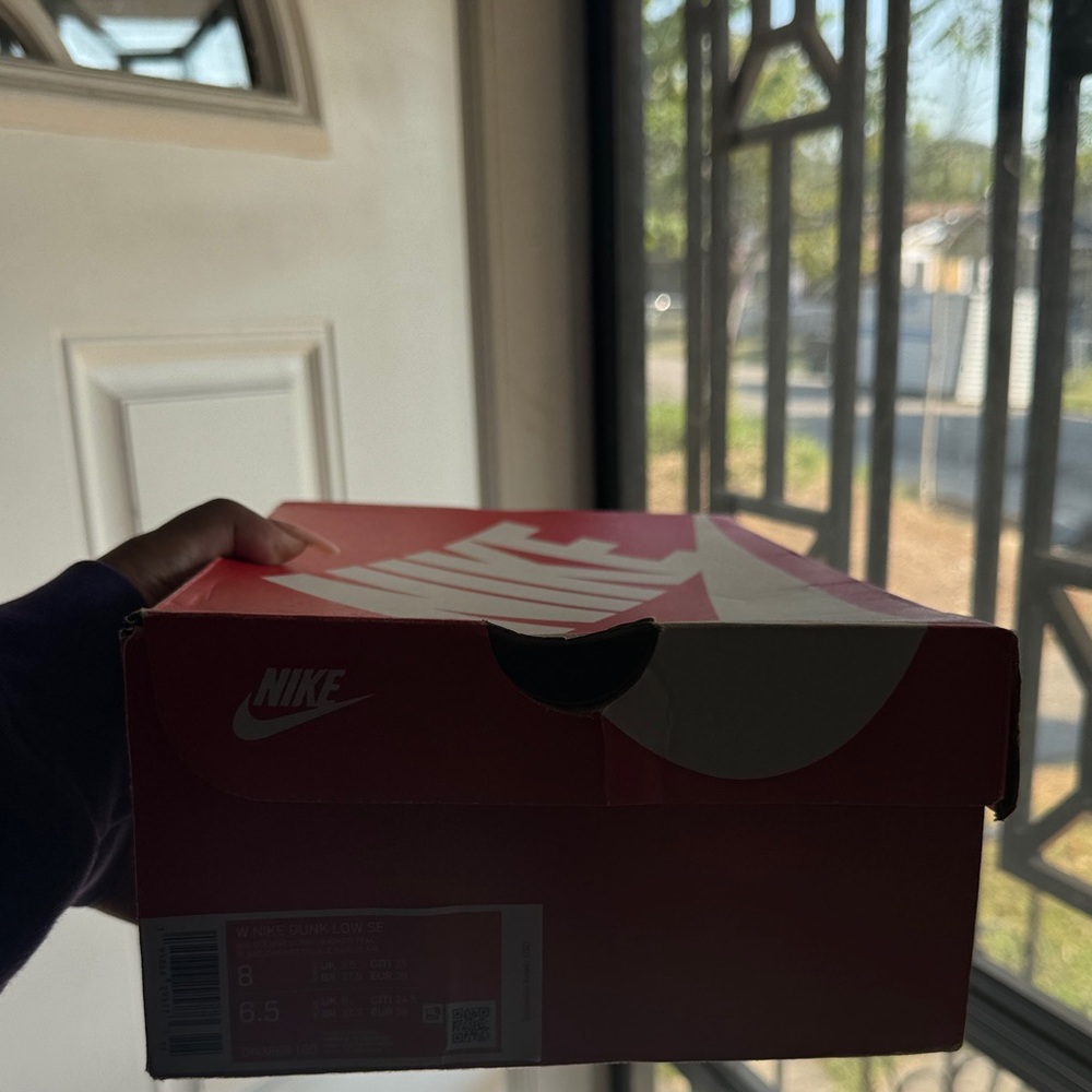 Nike Dunks